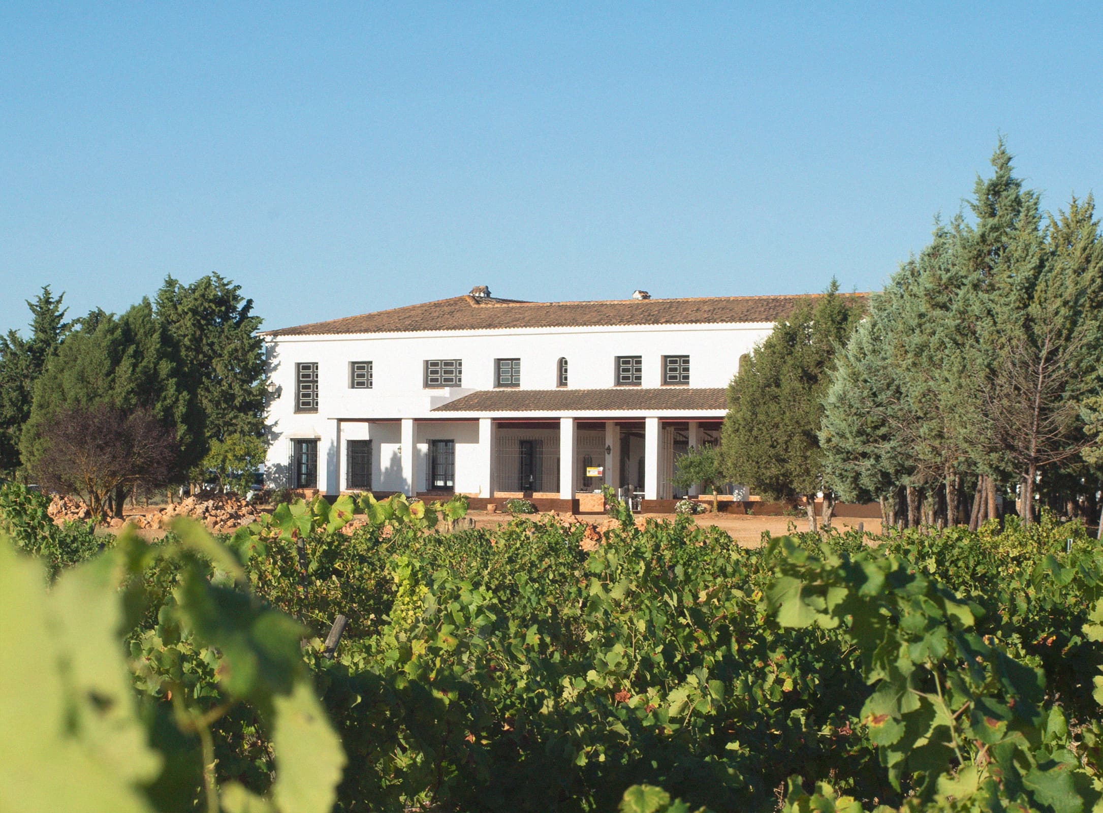Het domein van Pago Finca Élez